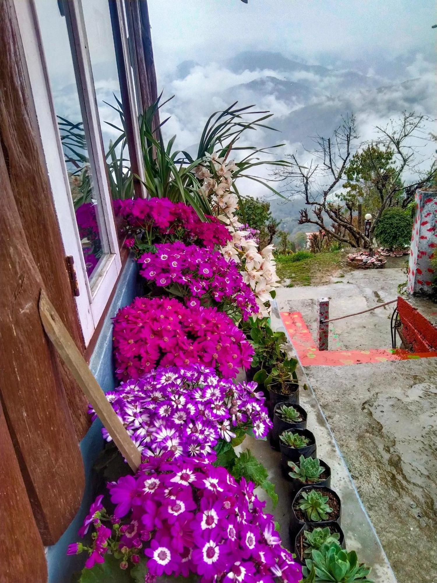 The Himalayan Resort Ravangla エクステリア 写真