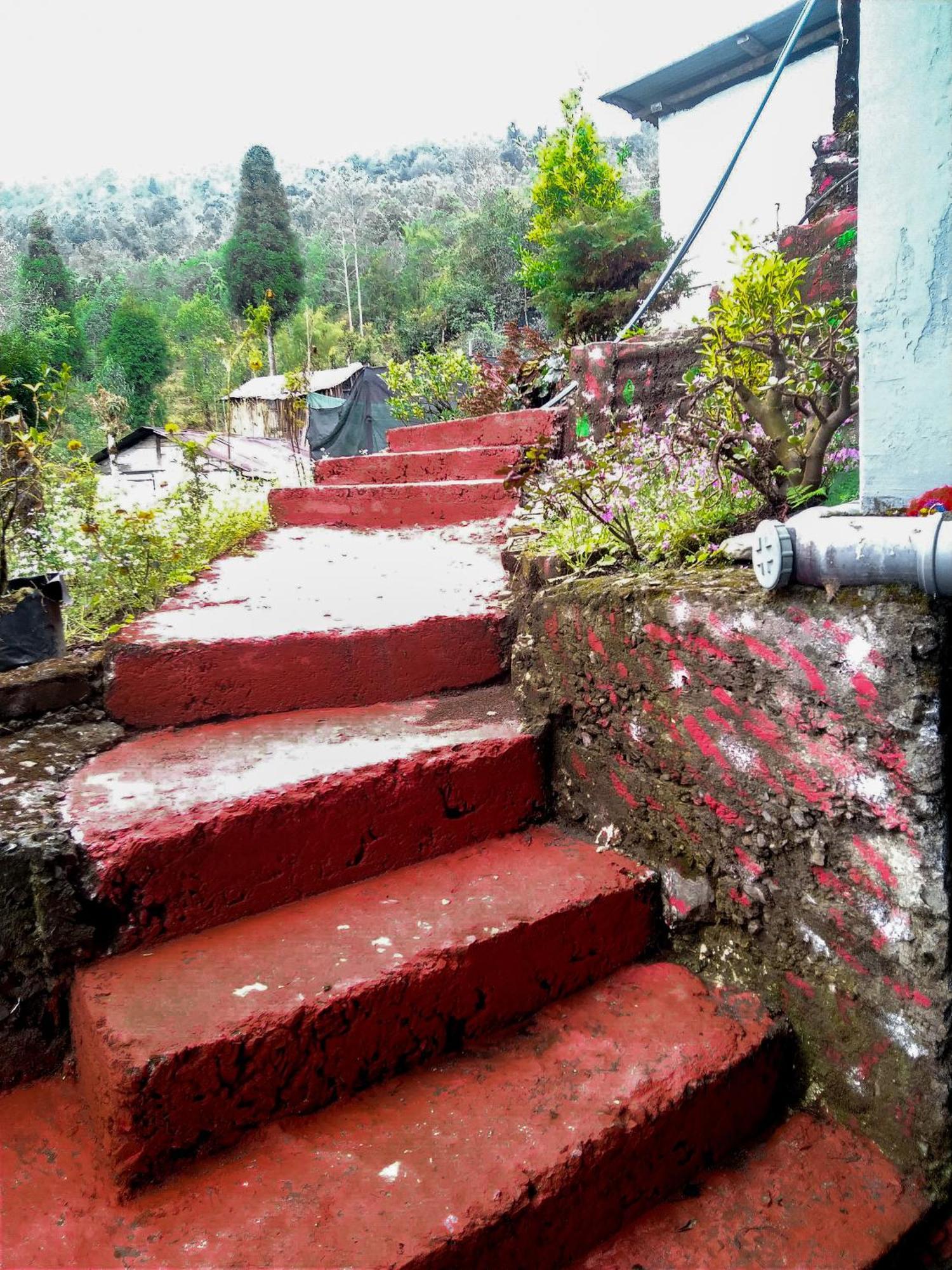The Himalayan Resort Ravangla エクステリア 写真